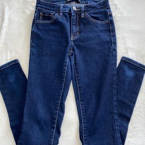 Solid Blue Denim 5 Pocket Skinny Jeans